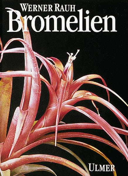 Bromelien: Tillandsien und andere kulturwurdige Bromelien (German Edition),Used