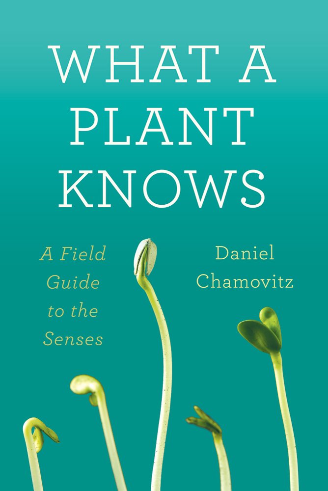 What A Plant Knows: A Field Guide To The Senses-new