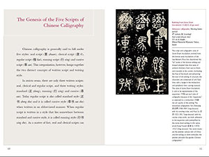 Chinese Calligraphy (Discovering China),Used