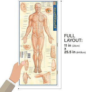 Acupressure Laminated Reference Guide (Quickstudy Academic)