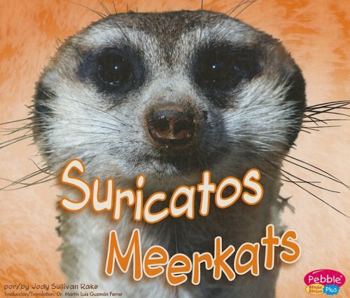 Suricatos / Meerkats (Animales Africanos / African Animals) (Spanish and English Edition),Used
