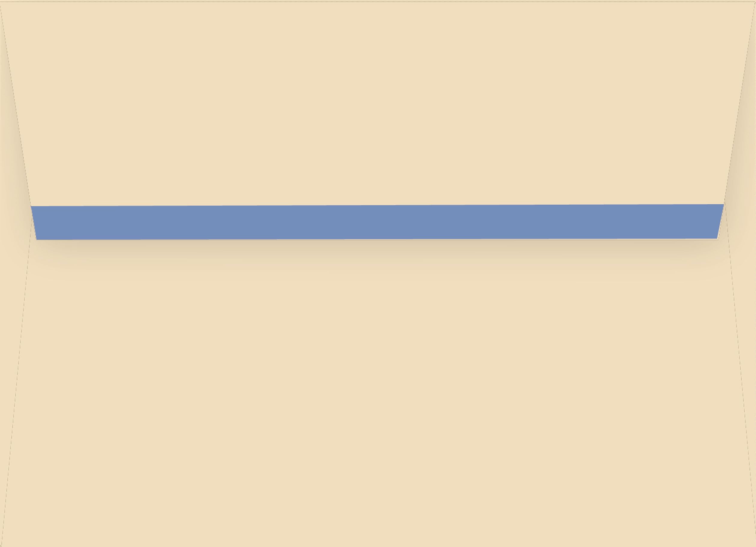 Dogs on Deck Chairs Note Cards (Stationery),New