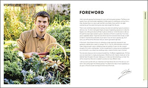 Veg In One Bed: How To Grow An Abundance Of Food In One Raised Bed, Month By Month,New