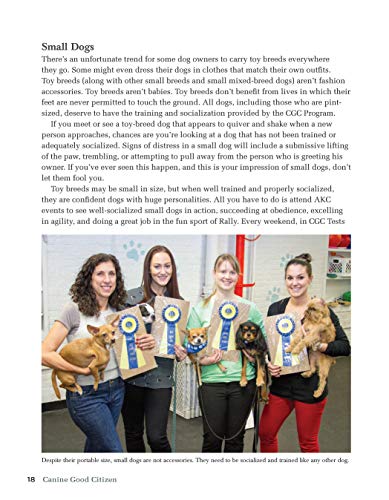 Canine Good Citizen: The Official AKC Guide, 2nd Edition: Ten Essential Skills Every WellMannered Dog Should Know (CompanionHou,Used