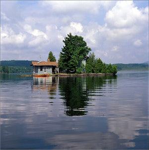 The Cabin: Inspiration for the Classic American Getaway,New