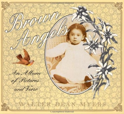 Brown Angels: An Album of Pictures and Verse,Used
