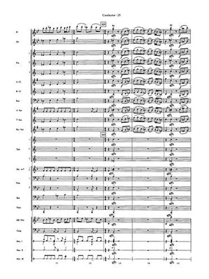 Into the Storm (Belwin Concert Band),Used