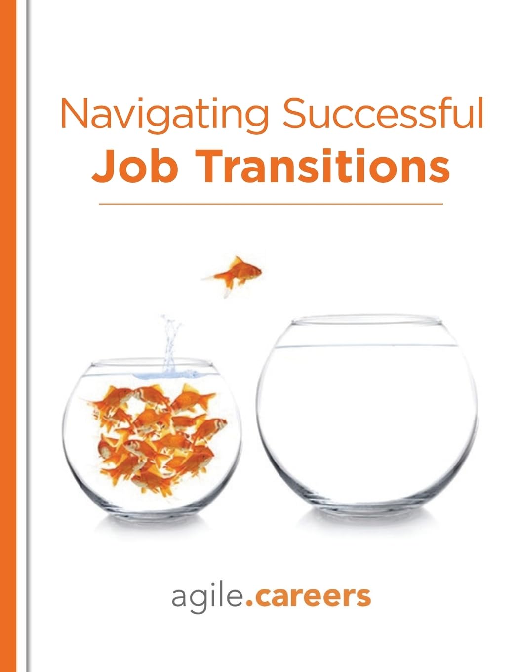 Navigating Successful Job Transitions,Used