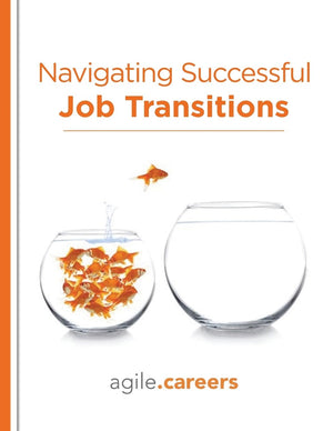 Navigating Successful Job Transitions,Used