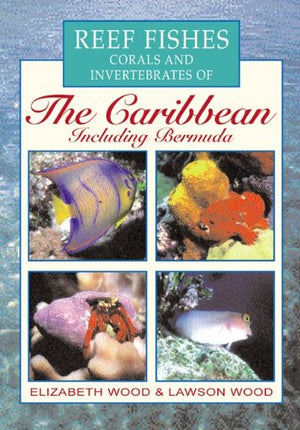Reef Fishes Corals and Invertebrates of the Caribbean : A Diver's Guide,Used