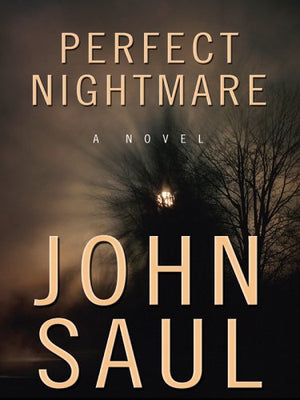 Perfect Nightmare,Used