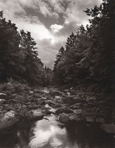 To Save a River,Used