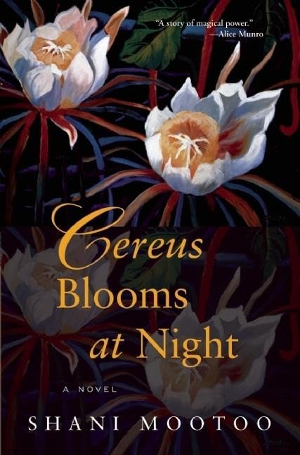 Cereus Blooms At Night