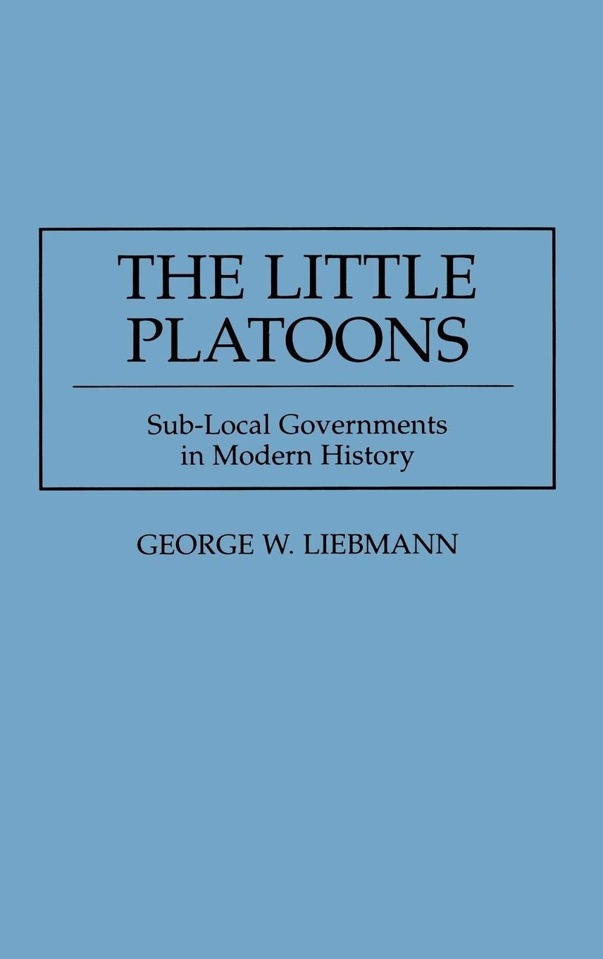 The Little Platoons: SubLocal Governments in Modern History,Used