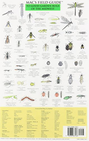 Mac'S Field Guides: Midwest Garden Bugs,New