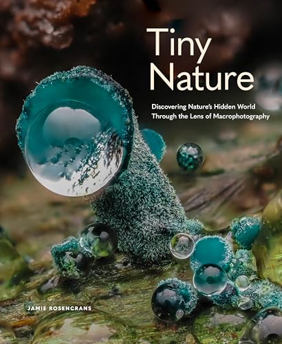 Tiny Nature: Discovering NatureS Hidden World Through The Lens Of Macrophotography