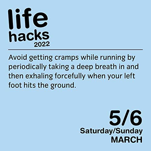Life Hacks 2022 DaytoDay Calendar: Tips, Tricks, and Daily DIYs to Make Your Life a Little More Awesome,Used