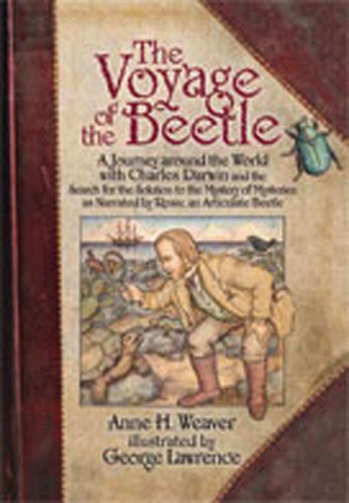 The Voyage Of The Beetle,New
