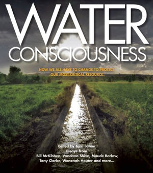 Water Consciousness: How We All Have To Change To Protect Our Most Critical Resource,Used