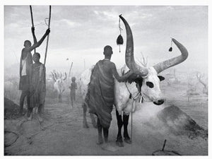 Africa: Sabastiao Salgado,Used