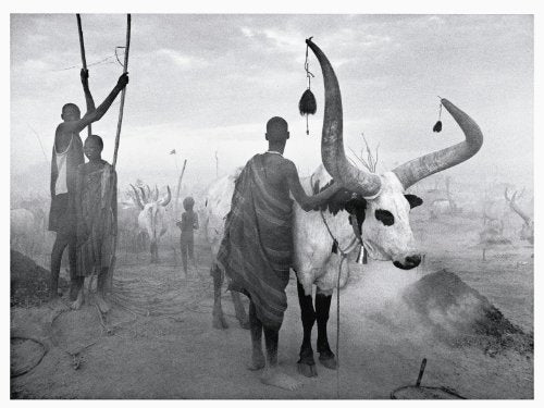 Africa: Sabastiao Salgado,Used