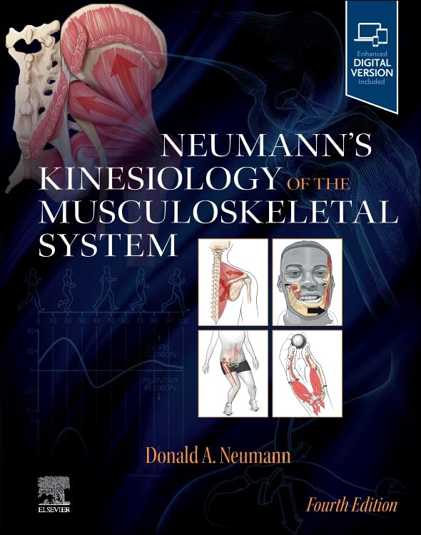 Neumanns Kinesiology Of The Musculoskeletal System
