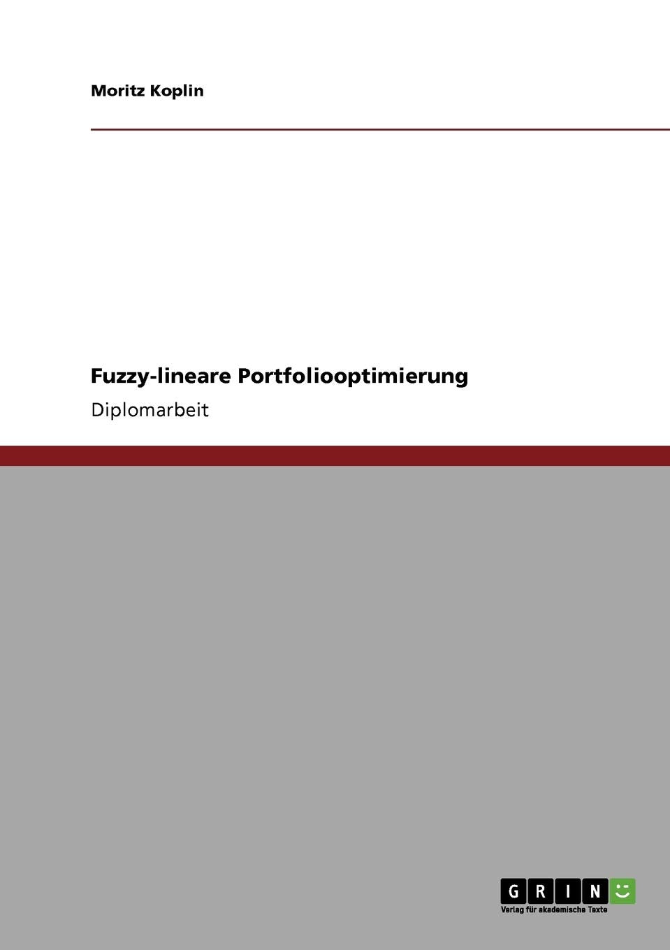 Fuzzylineare Portfoliooptimierung (German Edition),Used