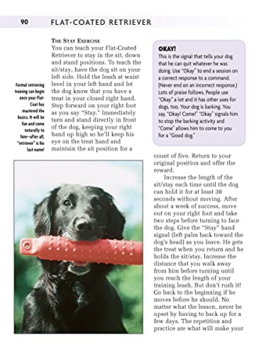Flatcoated Retriever (Companionhouse Books)