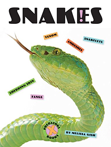 Xbooks: Snakes