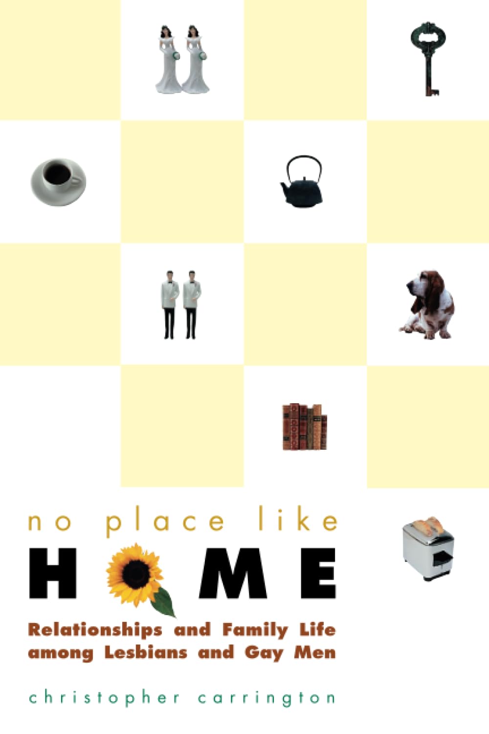 No Place Like Home : Relationships and Family Life Among Lesbians and Gay Men,Used