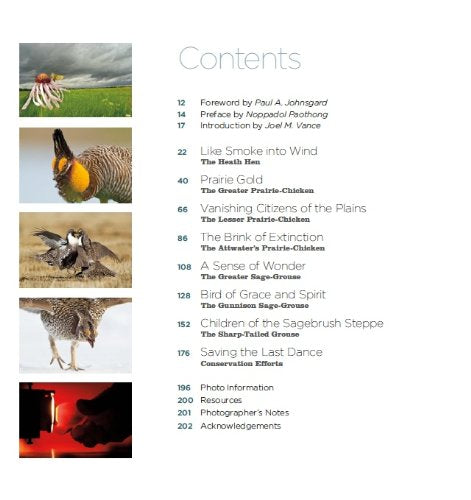 Noppadol Paothong Photography NPP617480 Save the Last Dance,Used