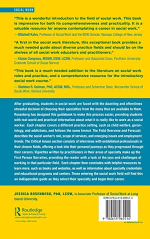 Working in Social Work: The Real World Guide to Practice Settings,Used