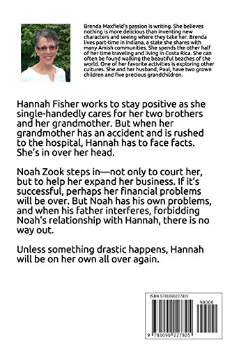 Noah's Promise (Hannah's Story),Used