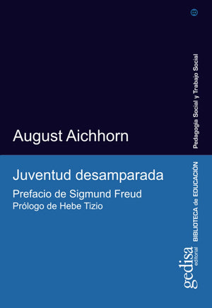 Juventud desamparada (Spanish Edition),Used