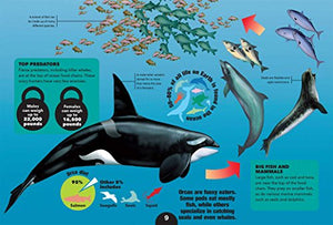3D Explorer: Oceans,Used