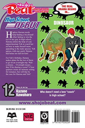 High School Debut, Vol. 12 (12),Used