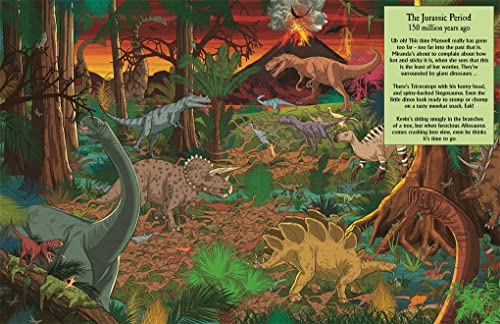 Where's the Meerkat?: Journey Through Time,Used