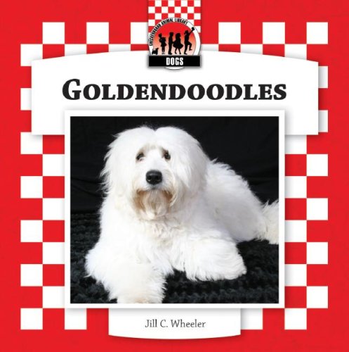 Goldendoodles (Designer Dogs Set 7),Used