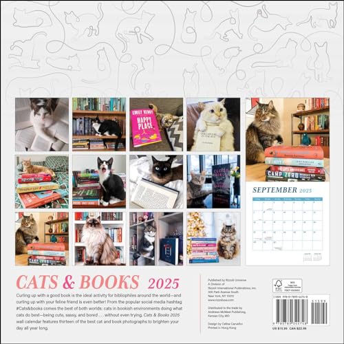 Cats & Books 2025 Wall Calendar,Used