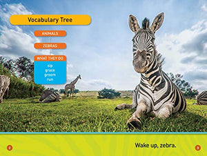 A Zebra's Day (National Geographic Kids Readers, PreReader),Used