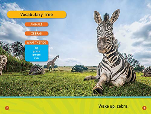 A Zebra's Day (National Geographic Kids Readers, PreReader),Used