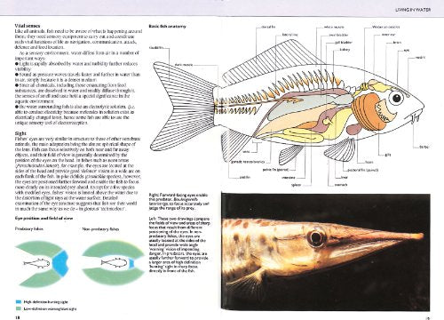 Manual of Fish Health: Everything You Need to Know About Aquarium Fish, Their Environment and Disease Prevention,Used