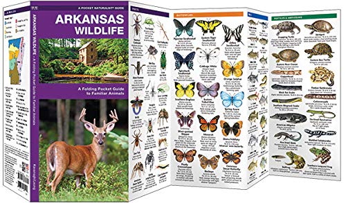 Arkansas Wildlife: A Folding Pocket Guide to Familiar Animals (Wildlife and Nature Identification),Used