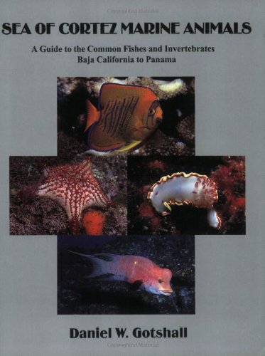 Sea of Cortez Marine Animals: A Guide to the Common Fishes and Invertebrates Baja California to Panama,New