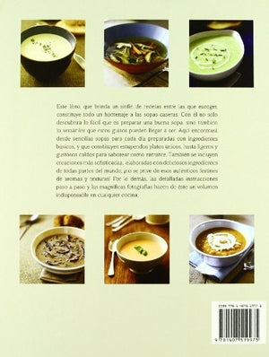 Sopas Exquisitas (Spanish Edition),Used