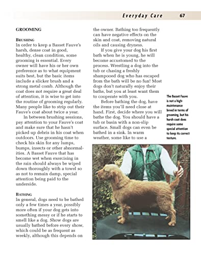 Basset Fauve De Bretagne (Comprehensive Owner'S Guide)