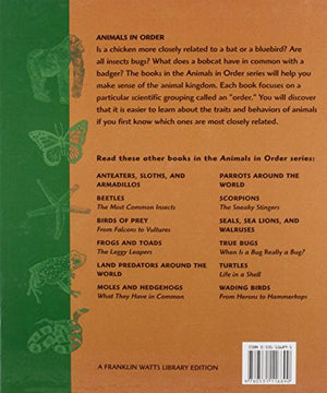 Chickens and Peafowl: What They Have in Common (Animals in Order),Used