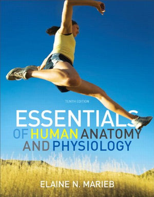 Essentials Of Human Anatomy & Physiology With Masteringa&P, 10Th Edition,Used
