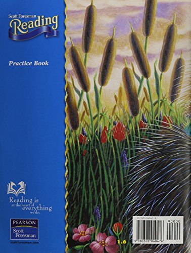 Reading 2004 Practice Book Grade 1.6,Used