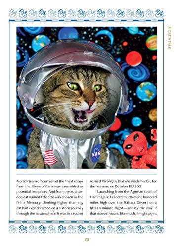 A Cat'S Tale: A Journey Through Feline History